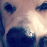 walter