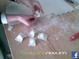 Coquina Novum