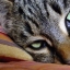 Nella 