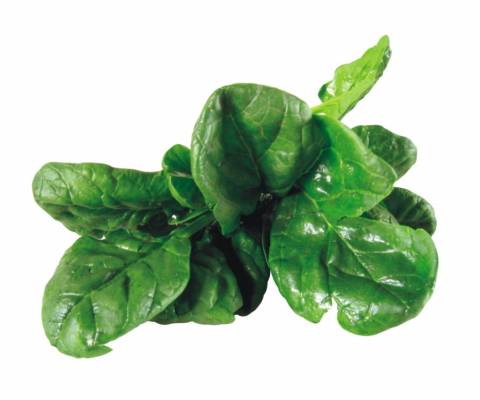 Mangiare vegetali: i 10 che proteggono dalle malattie